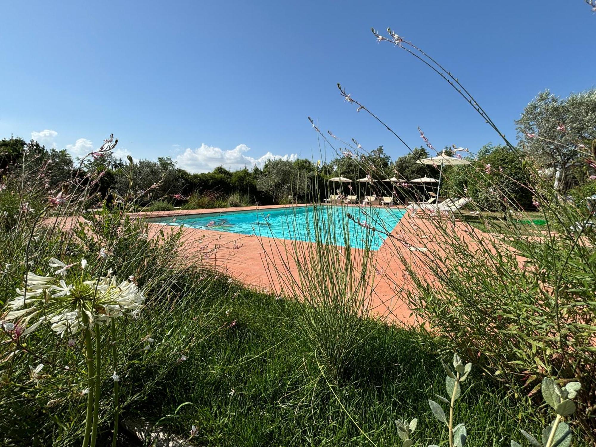 Nonna Nara Bed & Breakfast Grosseto Exterior photo