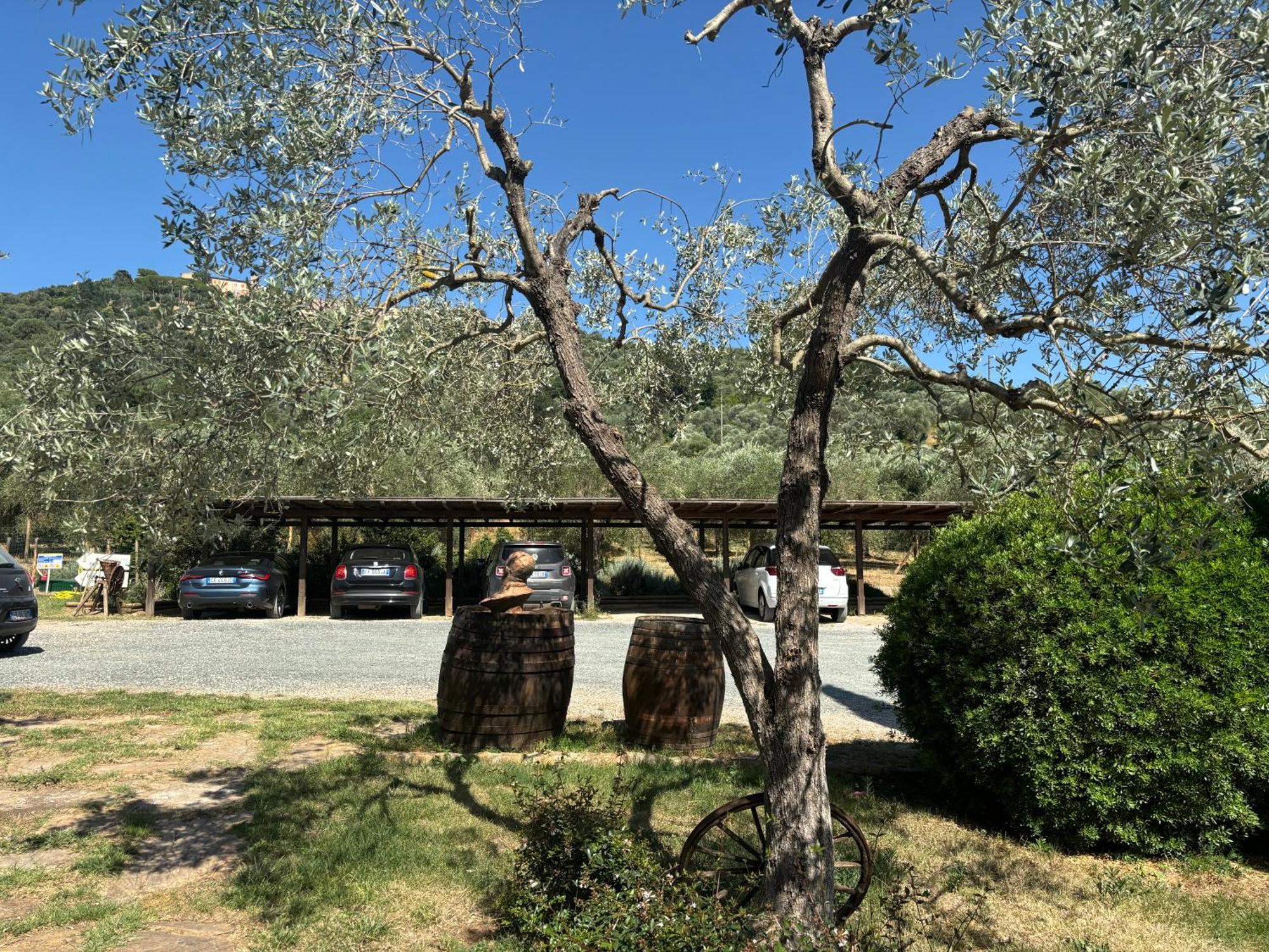 Nonna Nara Bed & Breakfast Grosseto Exterior photo
