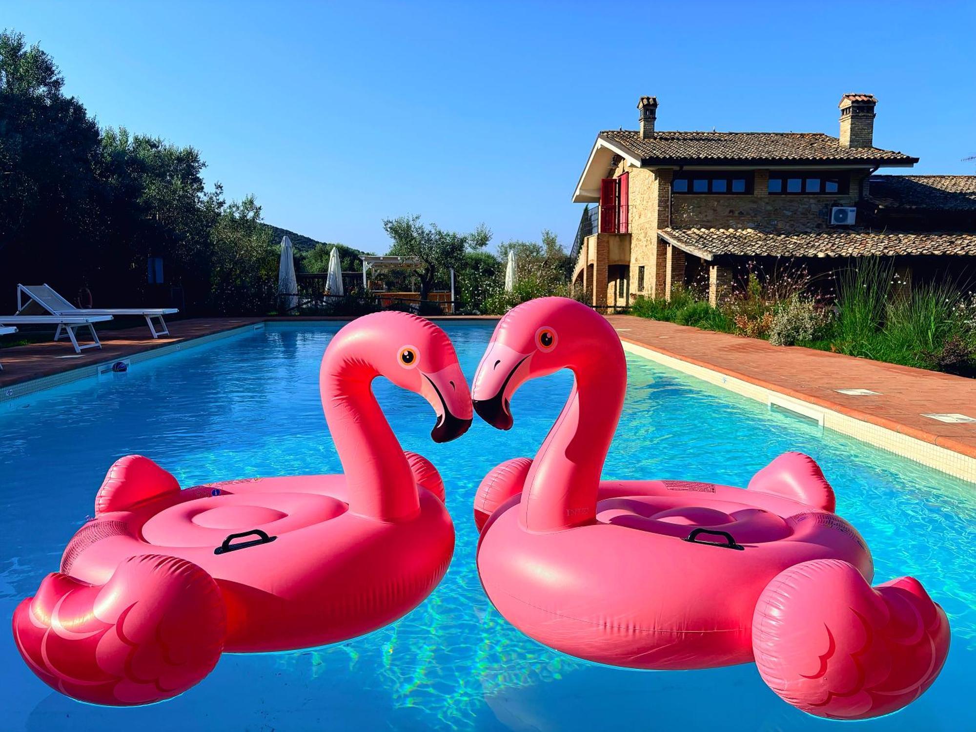 Nonna Nara Bed & Breakfast Grosseto Exterior photo