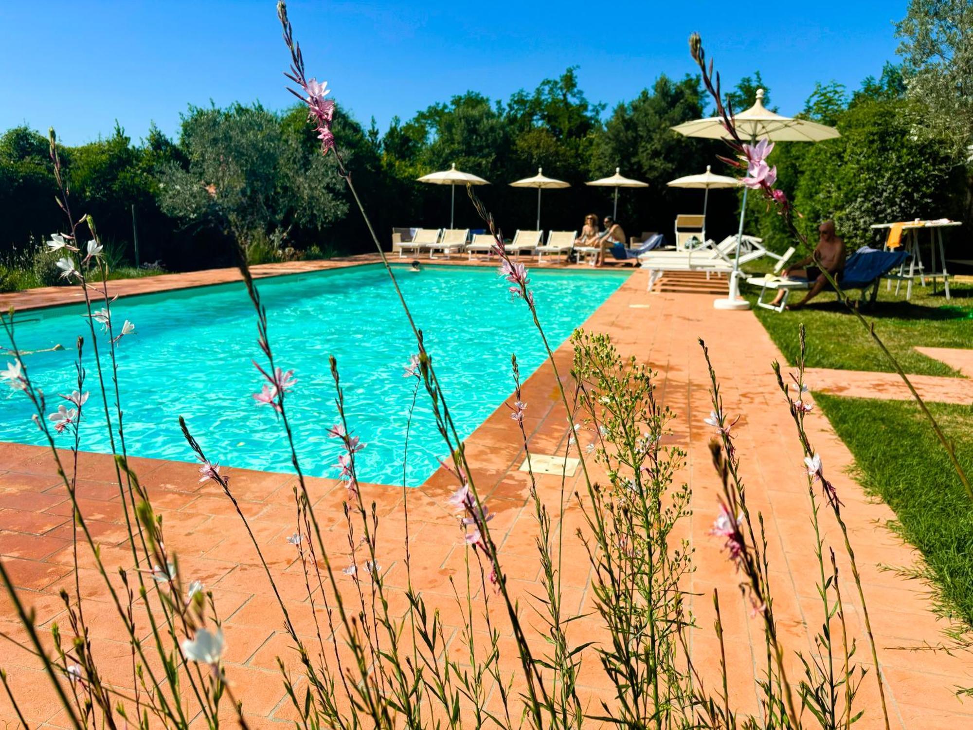 Nonna Nara Bed & Breakfast Grosseto Exterior photo