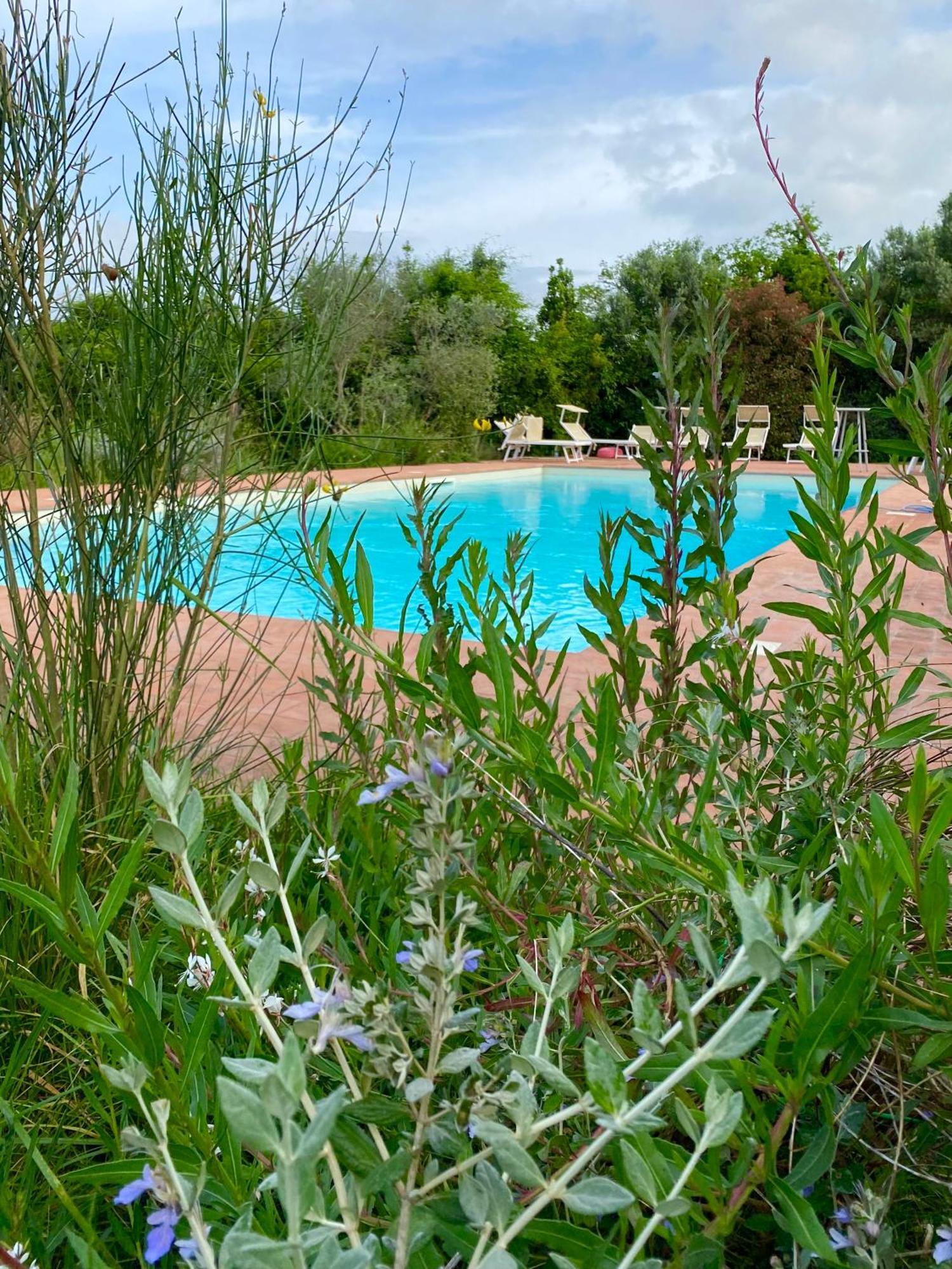 Nonna Nara Bed & Breakfast Grosseto Exterior photo